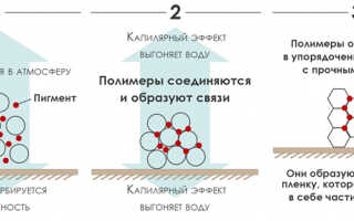 Акриловая покраска автомобиля. Преимущества материала и полная технология проведения работ.