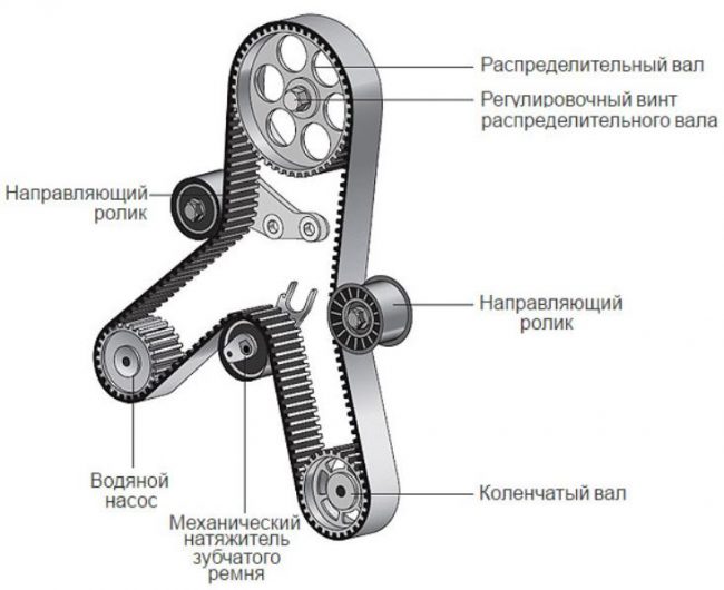 Составляющие ремня