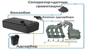 Адсорбер в автомобиле: устройство и принцип работы